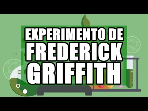 Video: ¿Qué resultado de frederick griffith?