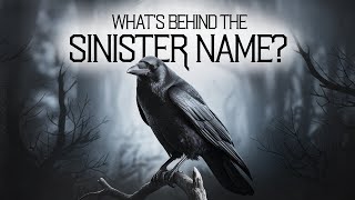 The Dark Secret Behind the Name 'Murder of Crows'! Profile