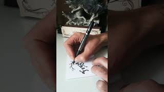 Feyza Ismine Kaligrafi Güzel Yazı Name Calligraphy Beautiful Fontrosedrawingartshorts