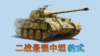 豹式到底有多少種型號？ 豹D 豹A 豹G 豹F 豹II......