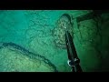 水深3mの浅瀬に巨大イカが現れた!!旧正月前魚突き
