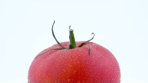 Shooting of Upper Part of a Big Red Tomato with Water Drops. Slowly Rotating on the Turntable |