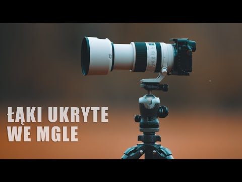 FOTOGRAFIA KRAJOBRAZU #62: ŁĄKI UKRYTE WE MGLE (4K).