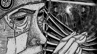 The Galactic Mantis of The Amygdala Haunted This Man On DMT