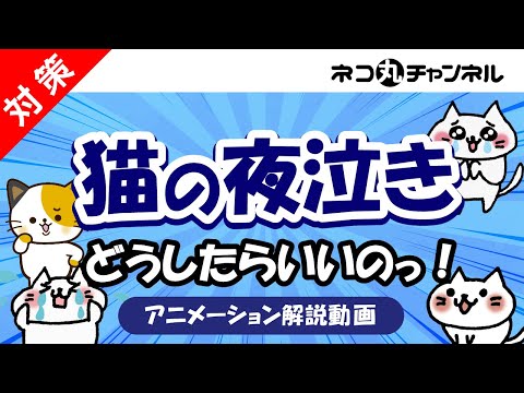 猫が夜泣きしてしまう理由と対策方法! hqdefault