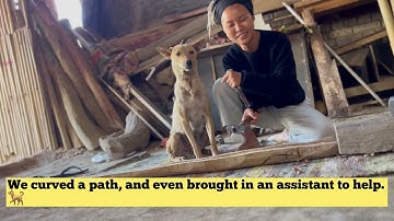 나무에서 디저리두가 되는 과정 Making a didgeridoo from the scratch