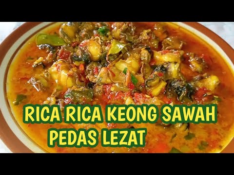 CARA MASAK RICA-RICA KEONG SAWAH LEZAT MANTUL