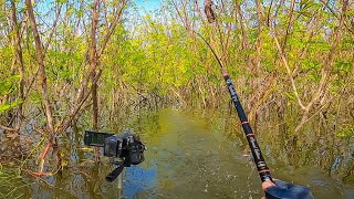 SPOT MANCING BARU DIBUKA IKANNYA GANAS TAK ADA LAWAN || mancing ikan nila di waduk sangiran Ngawi