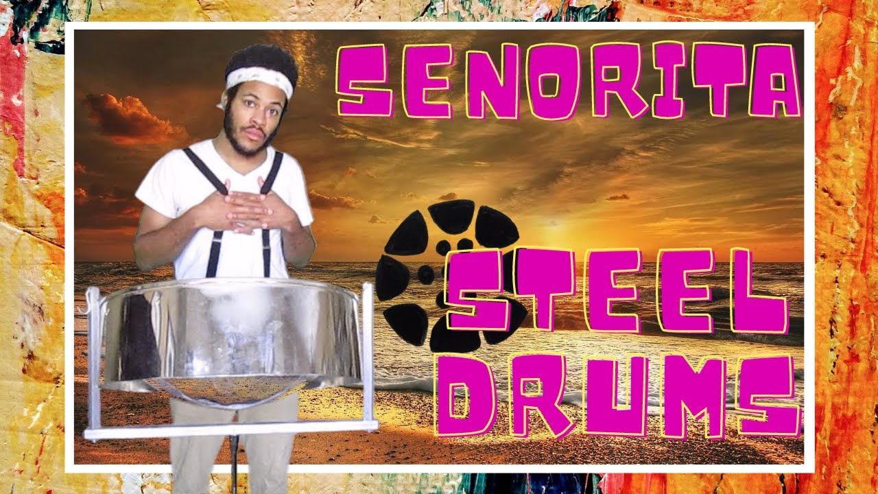 SENORITA STEEL DRUM COVER YouTube