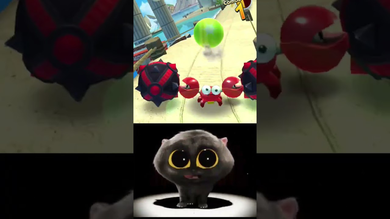 SCATMAN CHALLENGE IN SONIC DASH WITH VECTOR! 