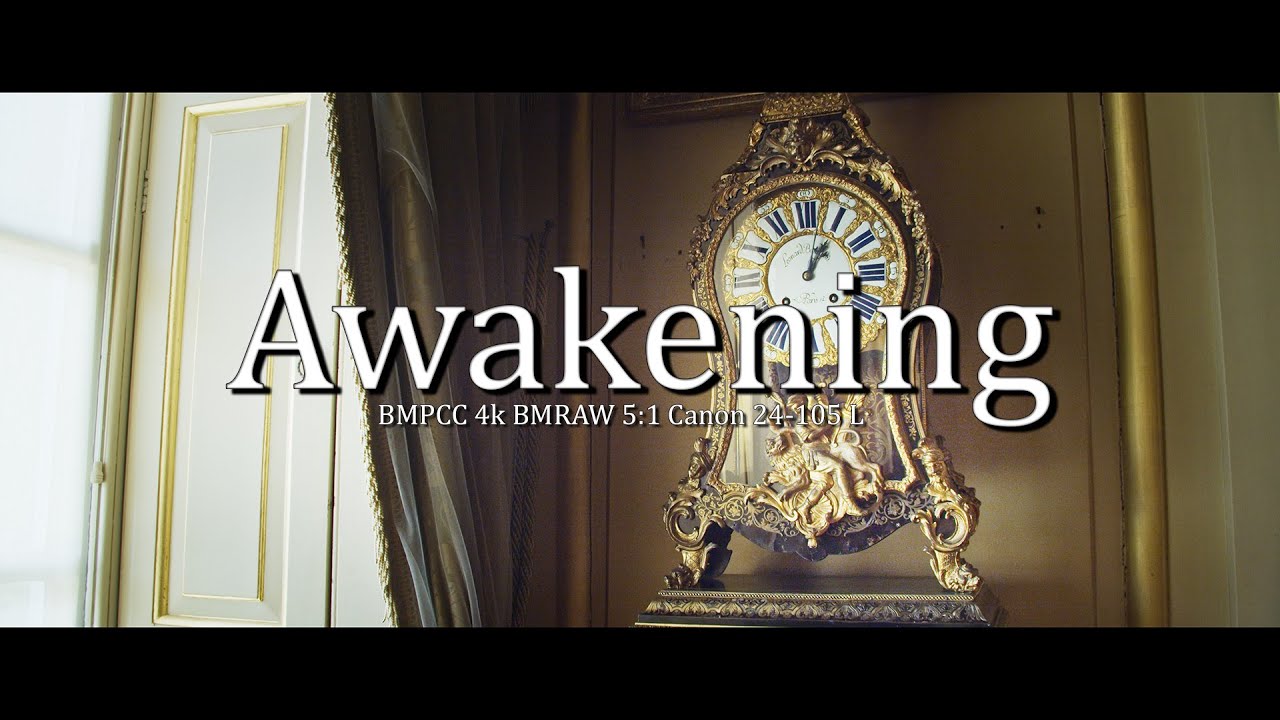 Blackmagic Pocket Cinema Camera 4k | Awakening | BMRAW 5:1 | Canon 24-105 L | Speedbooster XL