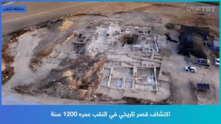 اكتشاف قصر تاريخي في النقب عمره 1200 سنة