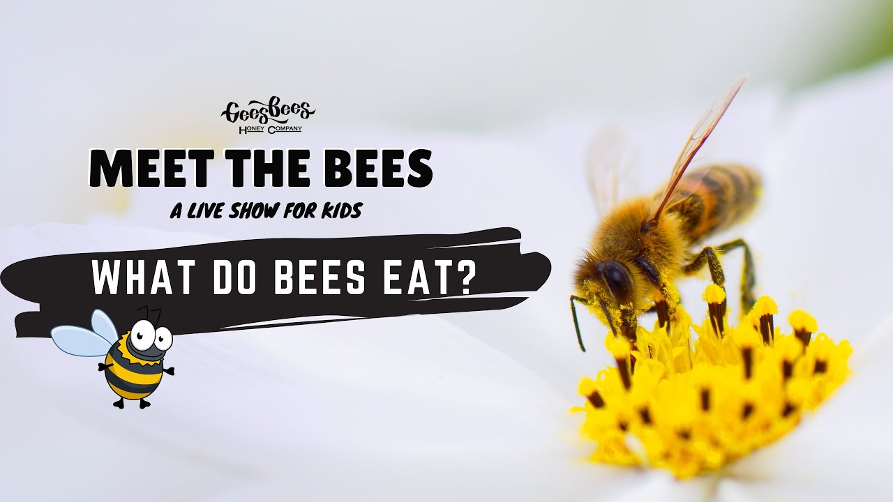 Eat bees