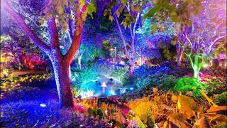 THE ENCHANTED GARDEN (Eric Coates) - Sydney Symphony Orchestra/John Lanchbery - ESD 7062