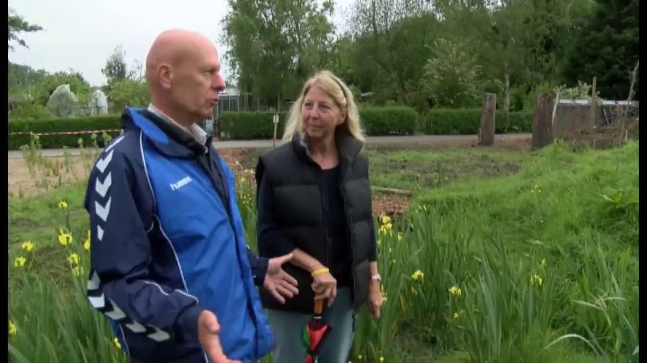 Leidse volkstuin Ons Buiten trots op 'Michelinster' voor tuinieren