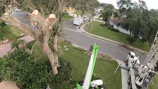 tree work with a nifty SD50 and a terex crane