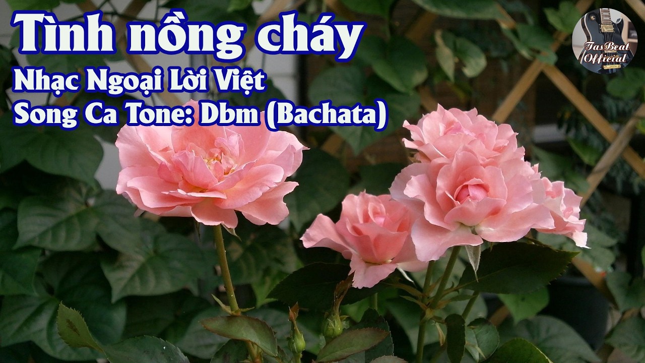 Karaoke Song Ca Tình Nồng Cháy | Song Ca & Tình Khúc