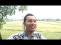 Review Padi Inpari 32 dari atas