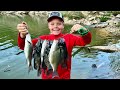 Crappie fishing from the bank  catch clean and cook