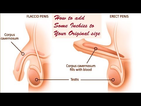 Enlargement, How to increase penis size naturally, how to get penis bigger,...