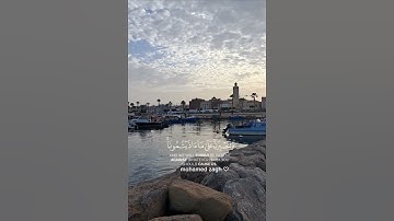 سورة إبراهيم (الآية 12)