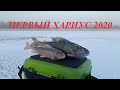 Вылазка на Хариуса / Зимняя рыбалка 2020 / Иртыш