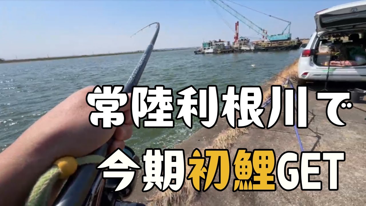 2025年3月22日常陸利根川コイ釣り - YouTube