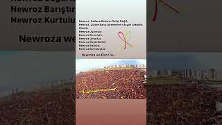 Diyarbakır Newrozu Şimdi Kazanma Zamanı Şiarıyla Nevruz Ateşlere Yakılmıştır Newroz Piroz Be