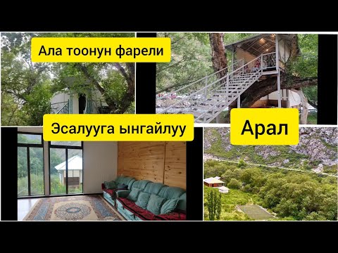 Video: Бейиште эс алуу үчүн эң мыкты 10 арал