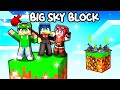 DISTRUGGO E ABBANDONO LA MIA ISOLA su MINECRAFT! - BIG SKYBLOCK