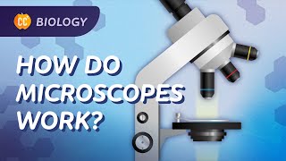 How We See What We Can't See (Microscopes): Crash Course Biology #22