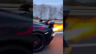 #Lamborghini #Lambo #Ламборгини #ламборджини #SVJ