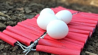 EXPERIMENT : Eggs vs Firecracker |  DIY