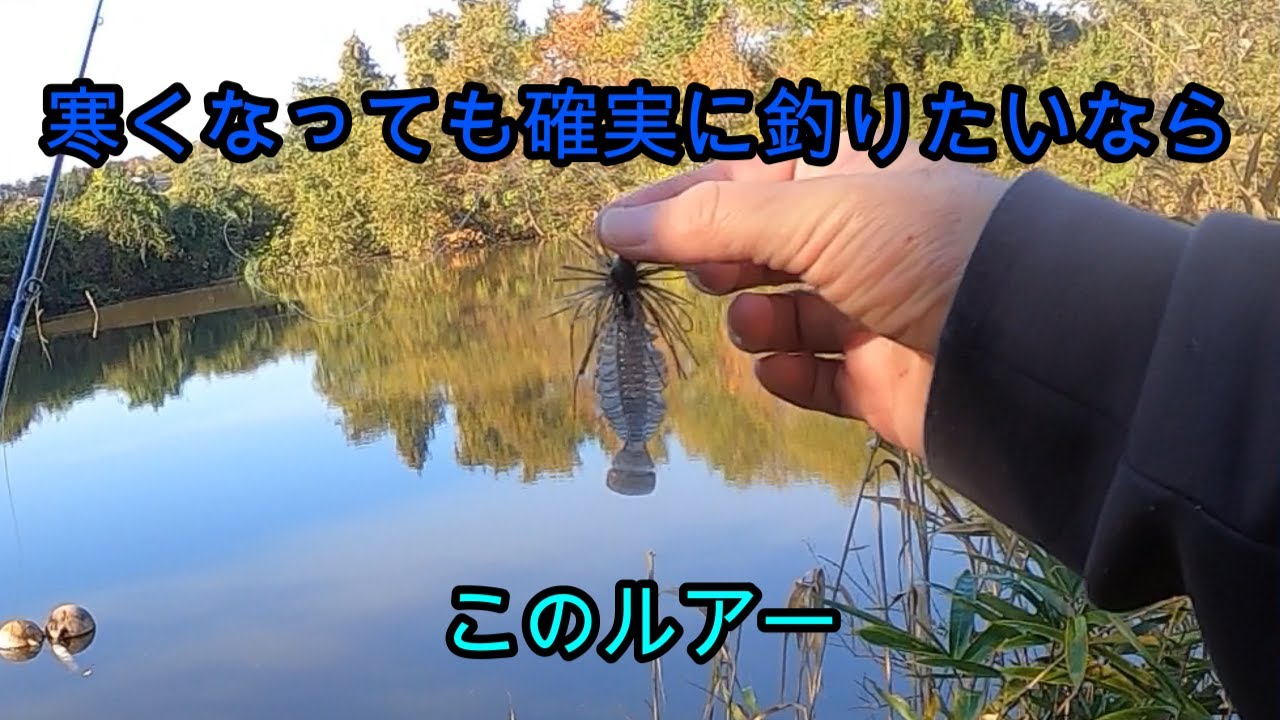 【バス釣り】もう初冬でしたｗ