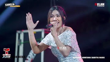 LUSIANA JELITA - LAILA CANGGUNG || CAMELIA KHITANAN ADHITAMA RADITYA HARIS || INDO MEBEL SEKURO