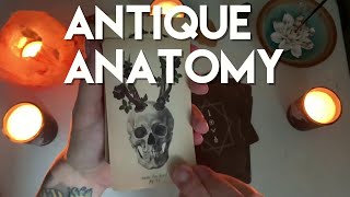 The Antique Anatomy Tarot- Unboxing and Walkthrough (Mass-produced Edition)