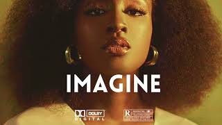 [FREE] Afrobeat | rema x burna boy x tyla x asake|type beat 2024"IMAGINE " instrumental