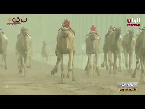 السيف الذهبي   