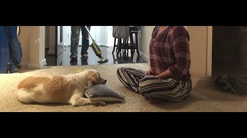 Requested Approach Training (RAT) - Control Unleashed