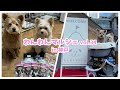 【犬イベント】大好きな無添加おやつを求めてマルシェに行ってきた
