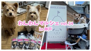 【犬イベント】大好きな無添加おやつを求めてマルシェに行ってきた