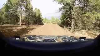 The new RZR track 10302015