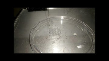 3D Bioprinting of psyllium based hydrogel