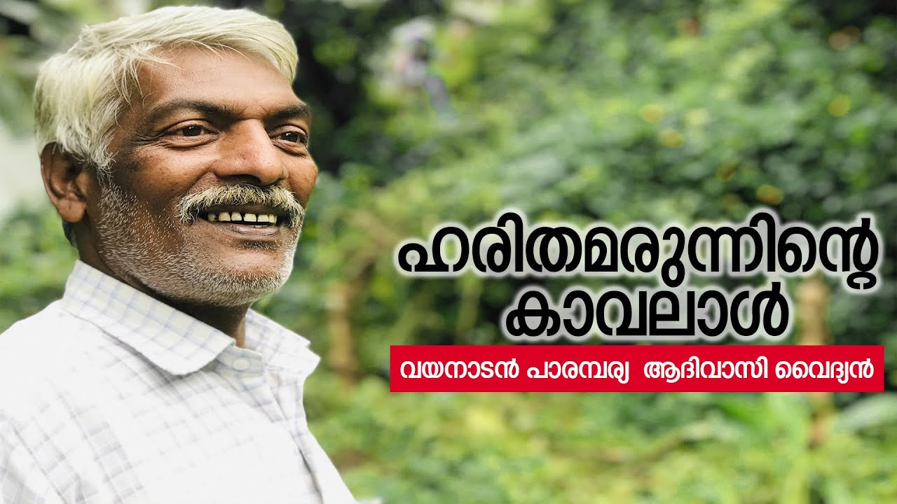 ഹരിതമരുന്നിൻ്റെ കാവലാൾ Kelu Vaidyar,famous Tribal Traditional Physician,living in Kattikulam,Wayanad
