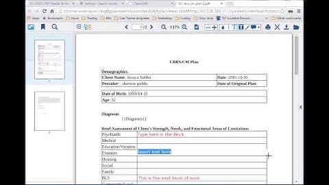 inbrowser editing of template document