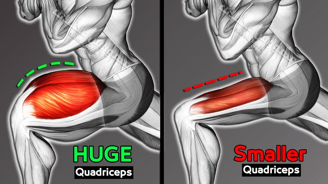 Тренировка квадрицепсов с гантелями для накачивания больших ног.