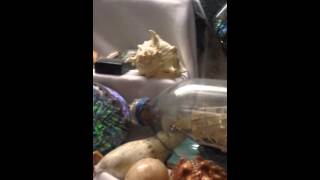 IMG 5369