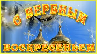 Поздравления с Вербным воскресеньем. Видео открытка Вербное воскресенье