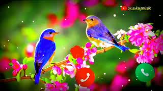 #-Beautiful- Birs-Ringtones 2022||New Ringtone 2022🦜🦜birds ringtone phon📲📲 ringtone❤️❤️PKJA ka musie screenshot 5