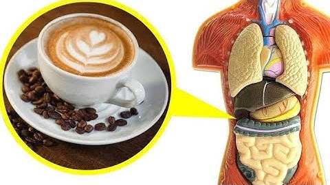 Science confirms what happens to your body when you drink coffee every day